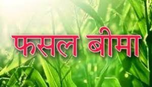  मौसम आधारित फसल बीमा योजना :31 दिसम्बर तक करा सकते है बीमा