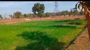 विकसित भारत संकल्प यात्रा : खेती के नवाचारों से किसान हो रहे अवगत