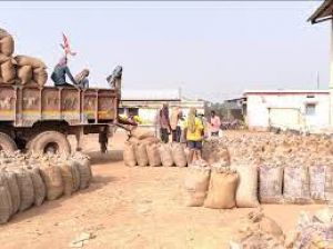  बालोद जिले में  अब तक 04 लाख 76 हजार 509 मीट्रिक टन से अधिक धान की हुई खरीदी