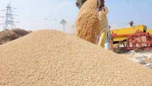  111.75 लाख मीट्रिक टन बंपर धान खरीदी के साथ अब तक के टूटे सारे रिकार्ड जबकि अभी पूरा एक पखवाड़ा भी बाकी