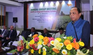 कृषि एवं किसानों के विकास के लिए उपयुक्त है समन्वित कृषि प्रणाली कृषि एवं किसानों के विकास के लिए उपयुक्त है समन्वित कृषि प्रणाली