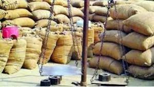  बालोद जिले में  अब तक 07 लाख 09 हजार 503 मीट्रिक टन से अधिक धान की हुई खरीदी