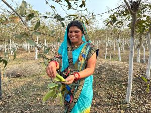 रेशमी धागों ने महिलाओं के जीवन में लाई खुशियां रेशमी धागों ने महिलाओं के जीवन में लाई खुशियां
