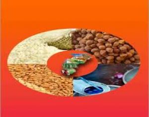 66 लाख 68 हजार राशन कार्डधारियों ने किया नवीनीकरण के लिए ऑनलाइन आवेदन 66 लाख 68 हजार राशन कार्डधारियों ने किया नवीनीकरण के लिए ऑनलाइन आवेदन