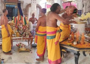  विवाहोपरांत बालाजी, श्रीदेवी व भूदेवी की धूमधाम से निकली भव्य शोभायात्रा 