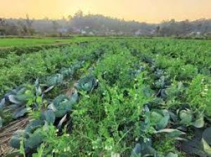 किसानों की सहायता के लिए नियंत्रण कक्ष स्थापित