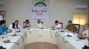कलेक्टर डॉ. गौरव सिंह ने डीएलसीसी की बैठक ली
