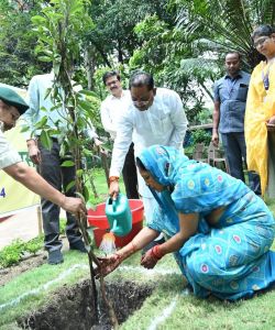  मुख्यमंत्री श्री साय की विशेष पहल  :बस्तर अंचल में आस्था के केन्द्रों पर होगी हरियाली