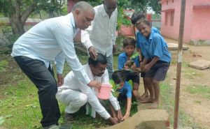  वृक्षारोपण महाभियान अंतर्गत राजनांदगांव जिले में 40 हजार से अधिक पौधे लगाए गए
