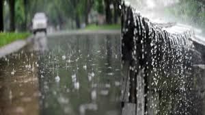 दुर्ग जिले में अब तक 130.7 मि.मी. औसत वर्षा दर्ज