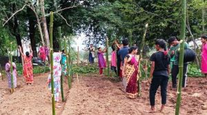  1000 दीदियों की बाड़ी में मचान विधि से लगाई जा रही है सब्जी 