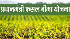  खरीफ फसलों का बीमा कराने की अंतिम तिथि 31 जुलाई