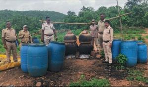 मैनाडोंगरी पहाड़ी में 250 लीटर कच्ची शराब एवं 2300 किलोग्राम महुआ लाहन जप्त