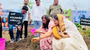   जिले में 12 से 18 जुलाई तक म.बा.वि.वि. द्वारा कुल 107846 से अधिक पौधों का किया गया रोपण