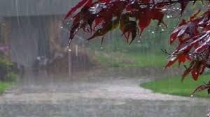  दुर्ग जिले में अब तक 206.4 मिमी औसत वर्षा दर्ज
