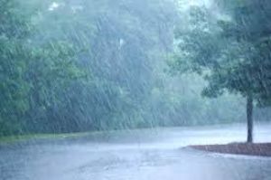 जिले में अब तक 335.8 मिमी औसत वर्षा दर्ज जिले में अब तक 335.8 मिमी औसत वर्षा दर्ज