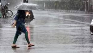 छत्तीसगढ़ में अब तक 709.7 मि.मी. औसत वर्षा दर्ज छत्तीसगढ़ में अब तक 709.7 मि.मी. औसत वर्षा दर्ज