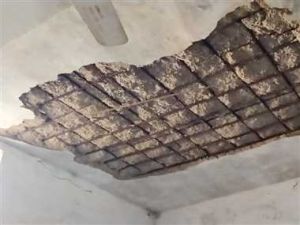  जर्जर हो चुके 59 शाला भवन एवं शौचालयों को डिस्मेंटल करने की मिली अनुमति 