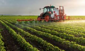 ऋणी किसान अब 25 अगस्त तक करा सकेंगे फसल बीमा