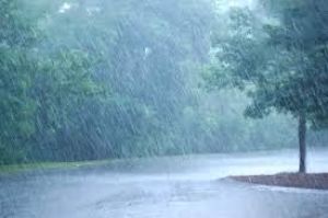 जिले में अब तक 483.4 मिमी औसत वर्षा दर्ज