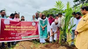 विधायक कोर्सेवाड़ा ने किया ऑयल पॉम पौधरोपण