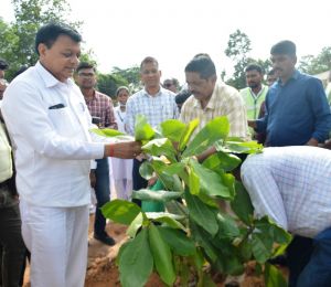 ‘एक पेड़ मां के नाम’ अभियान के तहत उद्योग मंत्री ने किया पौधारोपण ‘एक पेड़ मां के नाम’ अभियान के तहत उद्योग मंत्री ने किया पौधारोपण