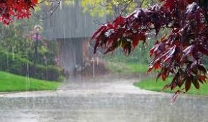 छत्तीसगढ़ में अब तक 899.5 मि.मी. औसत वर्षा दर्ज छत्तीसगढ़ में अब तक 899.5 मि.मी. औसत वर्षा दर्ज