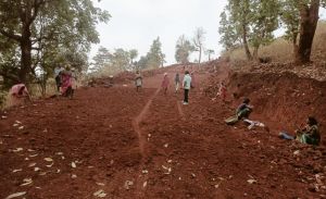  घाट कटिंग कर सड़क निर्माण कार्य से वनांचल के ग्रामीण हो रहे लाभान्वित