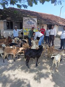  पी.पी.आर. टीकाकरण अभियान 31 अक्टूबर तक