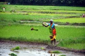  क़ृषि विज्ञान केंद्र मे महिला किसान दिवस मनाया गया