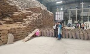 19 राईस मिलरों ने जमा नहीं कराई कस्टम मिलिंग का चावल 19 राईस मिलरों ने जमा नहीं कराई कस्टम मिलिंग का चावल