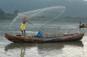  प्रधानमंत्री किसान समृद्धि सह योजना : एनएफडीपी पर पंजीकरण कराना अनिवार्य