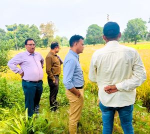 कलेक्टर ने दुधली में किया फसल गिरदावरी के कार्य का निरीक्षण कलेक्टर ने दुधली में किया फसल गिरदावरी के कार्य का निरीक्षण