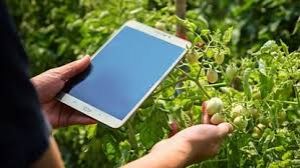  सुपरविजन मॉड्यूल वेब एवं मोबाइल एप्लिकेशन पर प्रशिक्षण हेतु राज्&zwj;यस्&zwj;तरीय प्रशिक्षण सम्&zwj;मेलन