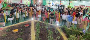छत्तीसगढ़ राज्योत्सव में संचालनालय उद्यानिकी द्वारा तैयार बागवानी का आकर्षक जीवंत प्रदर्शन छत्तीसगढ़ राज्योत्सव में संचालनालय उद्यानिकी द्वारा तैयार बागवानी का आकर्षक जीवंत प्रदर्शन