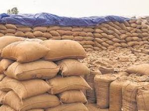  केन्द्रों में धान खरीदी की तैयारियां लगभग पूर्ण,  14 नवम्बर से 140 केन्द्रों में शुरू होगी खरीदी