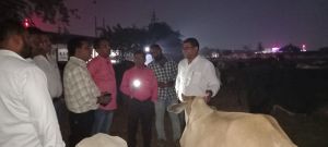 आयुक्त का पदभार संभालते ही पहुंचे गौठान 