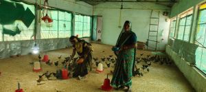 राष्ट्रीय आजीविका मिशन से मोहला- मानपुर जिले की महिलाएं हो रहीं सशक्त राष्ट्रीय आजीविका मिशन से मोहला- मानपुर जिले की महिलाएं हो रहीं सशक्त