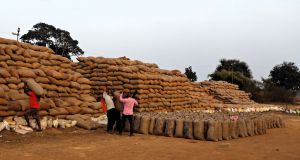  प्रति एकड़ 21 क्विंटल  धान बिक्री एवं 72 घण्टे में अपने खाते में पैसा जमा होने से प्रसन्नचित हुए किसान धनसिंह एवं होमलाल