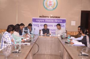 कलेक्टर डाॅ. गौरव सिंह ने ली पशु कल्याण समिति की बैठक