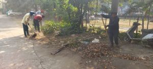 उद्यानों को साफ-सुथरा बनाने के लिए चल रहा विशेष सफाई अभियान