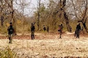   दक्षिण अबूझमाड़ में सुरक्षा बलों को मिली सफलता, मुठभेड़ में 7 नक्सली मारे गए