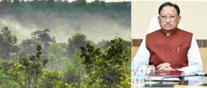 भारतीय वन सर्वेक्षण रिपोर्ट के अनुसार छत्तीसगढ़ ने वन एवं वृक्ष आवरण वृद्धि में देश में प्राप्त किया प्रथम स्थान भारतीय वन सर्वेक्षण रिपोर्ट के अनुसार छत्तीसगढ़ ने वन एवं वृक्ष आवरण वृद्धि में देश में प्राप्त किया प्रथम स्थान