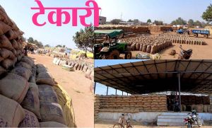 मंदिर हसौद शाखा के 7 केन्द्रों में 33 लाख कट्टा धान जाम मंदिर हसौद शाखा के 7 केन्द्रों में 33 लाख कट्टा धान जाम