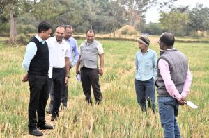 ग्रीष्मकालीन धान के बदले अन्य फसल के उत्पादन के लिए प्रोत्साहित करने कलेक्टर ने किसानों से उनके खेतों में पहुँचकर की मुलाकात 