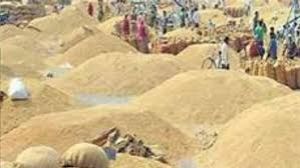  राज्य में 86.42 लाख मीट्रिक टन धान की हुई खरीदी