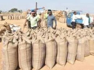 दुर्ग जिले  में अब तक 1,71,762.65 मीट्रिक टन धान का किया गया उठाव