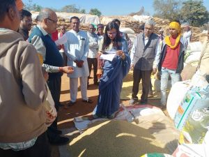  कलेक्टर ने धान संग्रहण केन्द्र अरसनारा का किया निरीक्षण