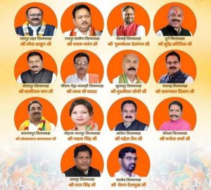  भाजपा के 15 जिला अध्यक्षों की निर्वाचन प्रक्रिया पूर्ण, विधिवत सूची जारी