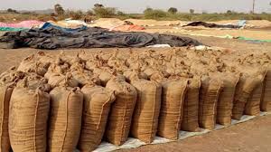  दुर्ग जिले  में धान की खरीदी 4,35,224.84 मीट्रिक टन 